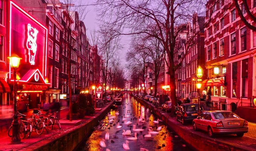 AMSTERDAM TURU ( 2025 ) THY İLE