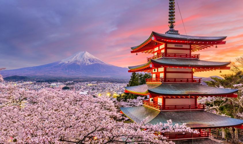 Elegant Japonya Türk Hava Yolları ile 7 Gece (Extra Turlar Dahil)