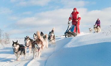 YILBAŞINDA LAPLAND KUZEY IŞIKLARI (EXTRA TURLAR DAHİL)