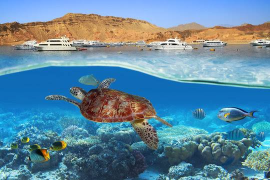 Promosyon İstanbul Hareketli Ajet İle Hurghada Turu 4 Gece