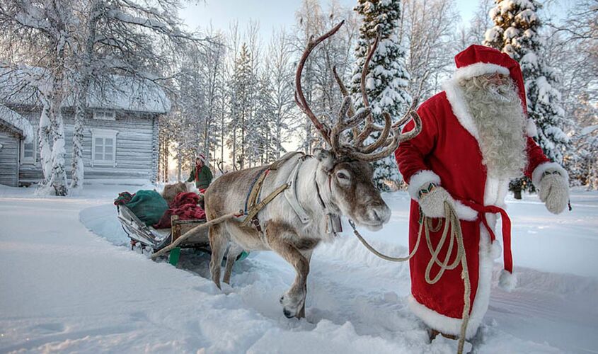 Yılbaşı Lapland Husky Ve Ren Geyiği Safari Dahil