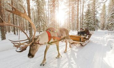 KUZEY IŞIKLARI-RUSYA LAPLAND-ARKTİK EXPRESS THY İLE EXTRA TURLAR DAHİL