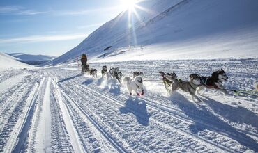 KUZEY IŞIKLARI-RUSYA LAPLAND-ARKTİK EXPRESS THY İLE EXTRA TURLAR DAHİL