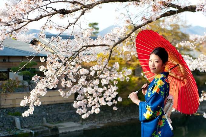 Grand Japonya Kore Turu NRT-ICN THY (Extra Turlar Dahil)
